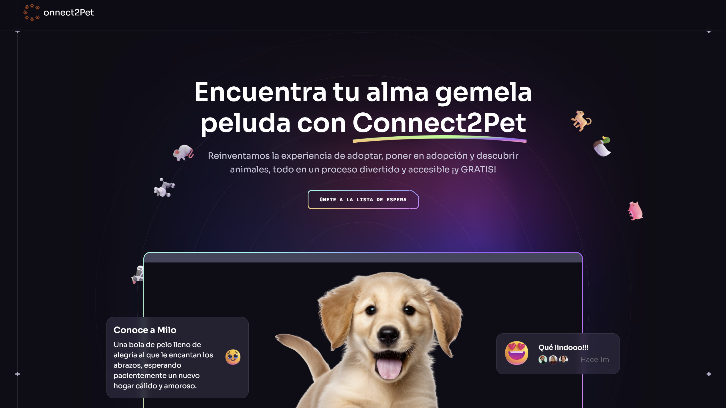Connect2Pet project preview